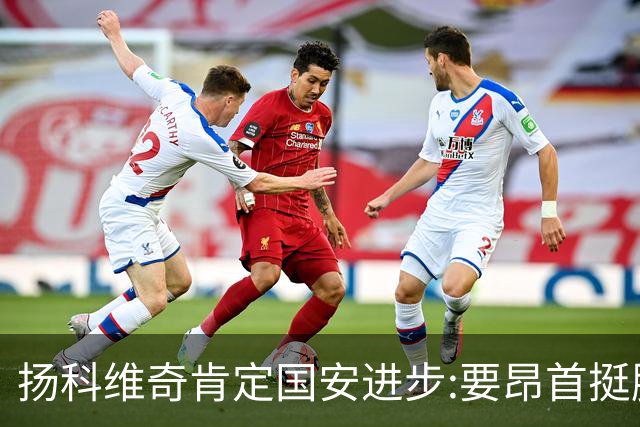 扬科维奇肯定国安进步:要昂首挺胸 做得非常好了